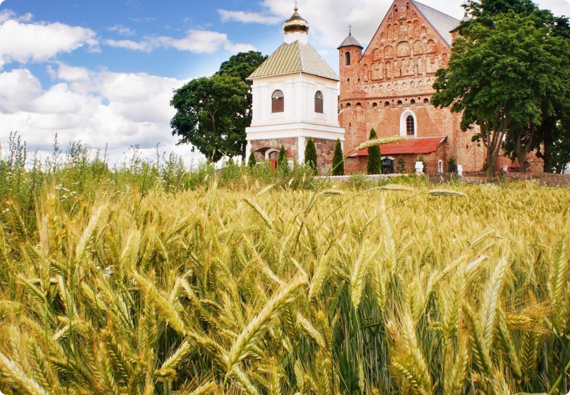 Главная
